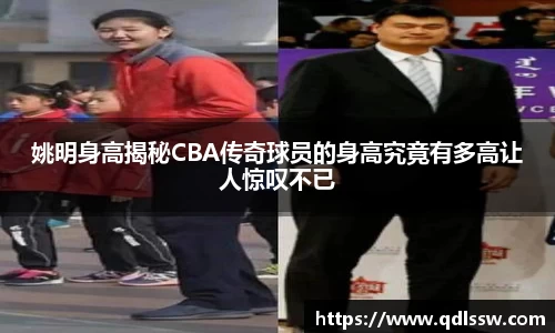 bsports必一体育