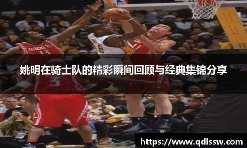 姚明在骑士队的精彩瞬间回顾与经典集锦分享